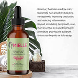Mielle Rosemary Mint Scalp & Hair Strengthening Oil 59 - Ml image 3