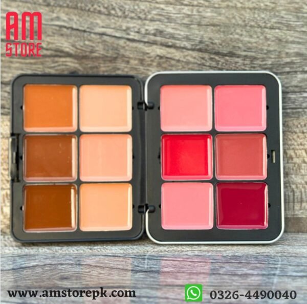 CARLA SECRET CREAM BLUSH WITH CONCEALER Plus CONTOUR PALETTE.